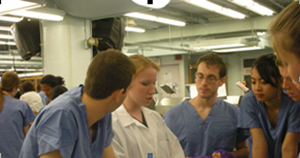 faculty