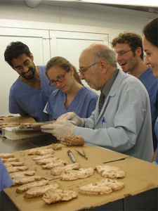 faculty